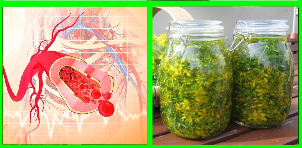 Healthy recipes for blood circulation